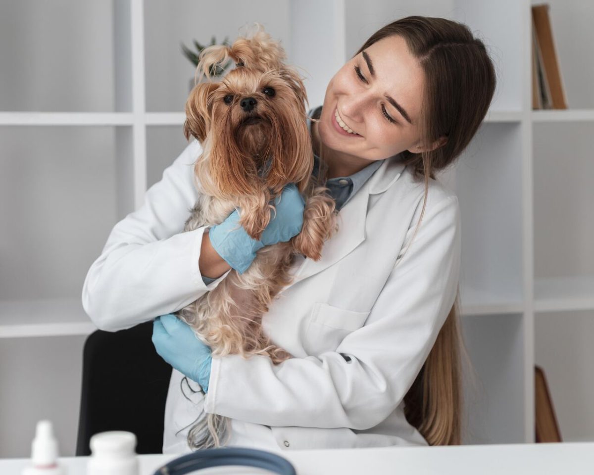 Veterinária com jaleco e luvas; cachorro em clínica